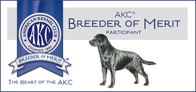 AKC Breeder of Merit